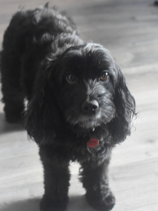 Molly